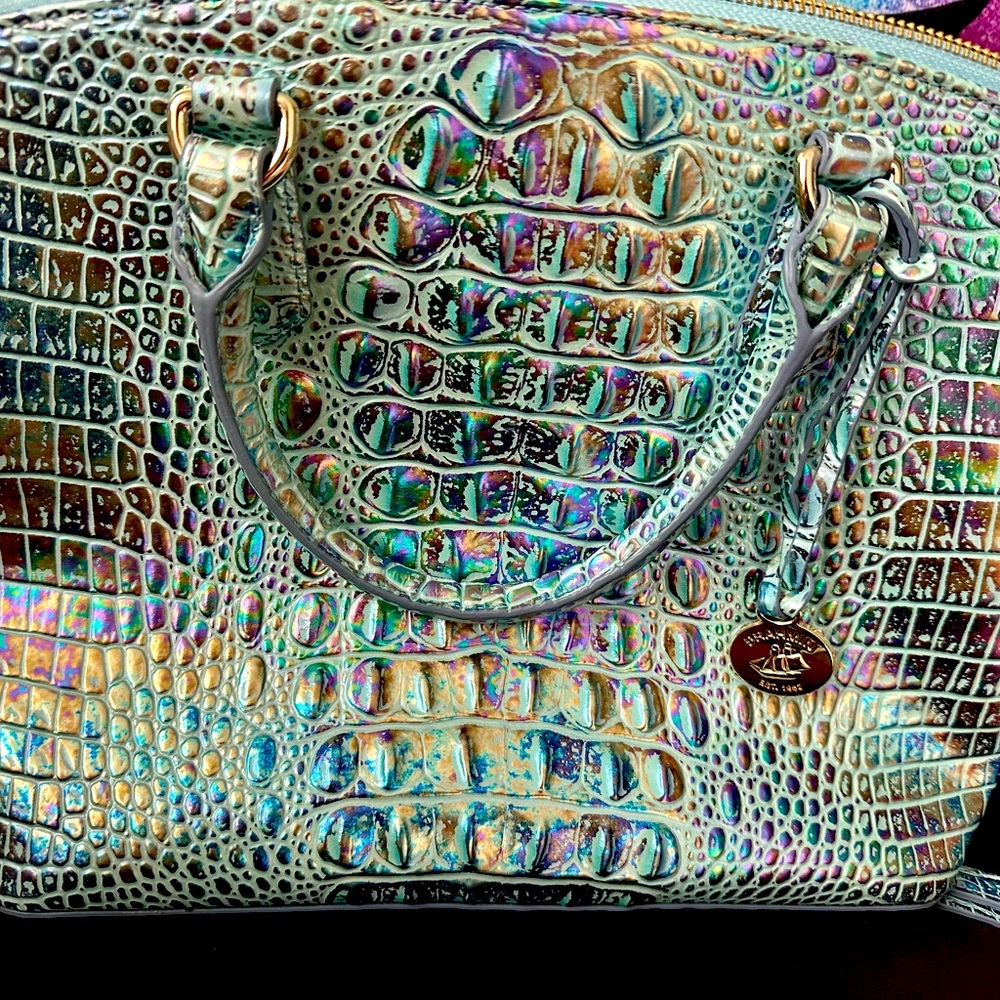 Brahmin Purse